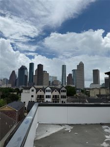 New construction Single-Family house 1103 Wilson St, Houston, TX 77019 - image 13