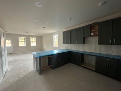 New construction Single-Family house 721 Palo Brea Loop, Hutto, TX 78634 Cassidy Homeplan- photo 8 8