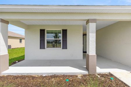 New construction Single-Family house 10377 Sw 106Th Ct, Ocala, FL 34481 - image 19