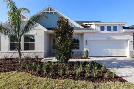 New construction Single-Family house 31486 Hayman Lp, Wesley Chapel, FL 33545 plan The Colston - image