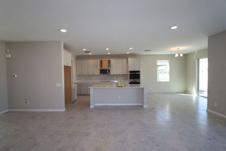 New construction Single-Family house 9489 Seagrass Port Pass, Wesley Chapel, FL 33545 Alenza- photo 32 32