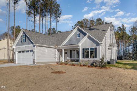 New construction Single-Family house 153 Wilderness Trl, Smithfield, NC 27577 null- photo 0 0