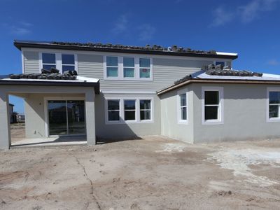 New construction Single-Family house 1774 Drummond Pt, Zephyrhills, FL 33541 plan Windsor - image
