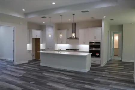 New construction Single-Family house 4676 Hickory Oak Dr, Brooksville, FL 34601 - image 2