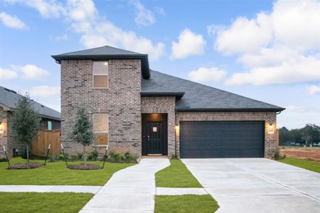 New construction Single-Family house 233 Saddle Park, Cibolo, TX 78108 null- photo 6 6