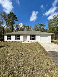 New construction Single-Family house 10145 Vaughan Ave, Hastings, FL 32145 plan Palm - image