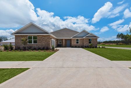 New construction Single-Family house 12844 Lake Merial Strand, Panama City, FL 32409 plan Hamilton - image
