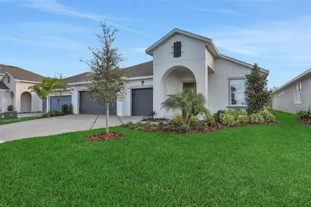 New construction Single-Family house 17429 Valleywood Pkwy, Land O' Lakes, FL 34638 plan Boca - Single Family Homes - image