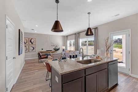 New construction Single-Family house 404 Bluegrass Ln, Rockmart, GA 30153 - image 3