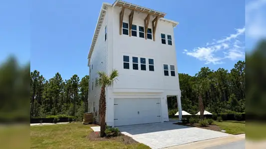New construction Single-Family house 235 Ashwood Dr, Santa Rosa Beach, FL 32459 plan Antigua - image