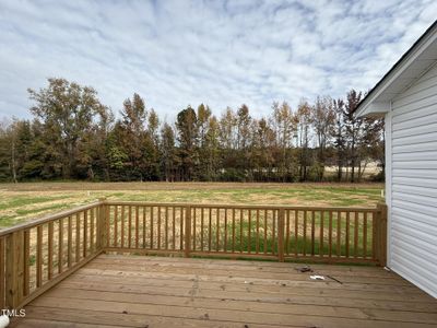 New construction Single-Family house 378 Magnolia Run Way, Benson, NC 27504 - photo 16 16