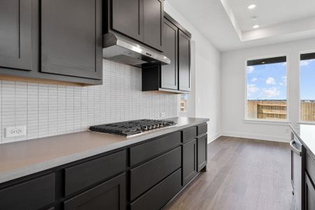 New construction Single-Family house 820 S Hemingway Lp, Liberty Hill, TX 78628 Hallsburg- photo 10 10