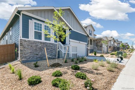 New construction Single-Family house 1805 Water Birch Way, Castle Rock, CO 80108 null- photo 29 29