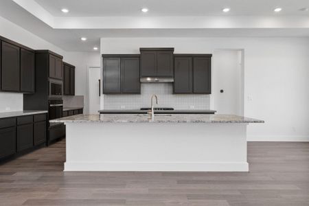 New construction Single-Family house 820 S Hemingway Lp, Liberty Hill, TX 78628 Hallsburg- photo 7 7