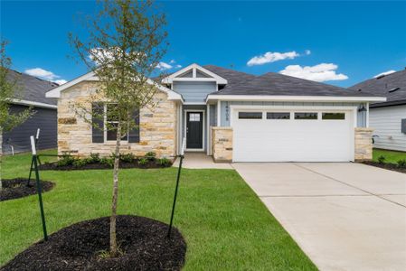 New construction Single-Family house 18009 Purple Top Ln, Manor, TX 78653 The Elgin- photo 0