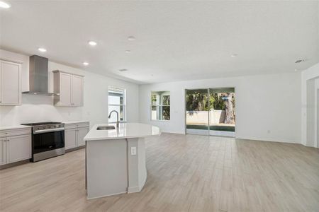 New construction Single-Family house 19689 Fort King Run, Brooksville, FL 34601 - image 12