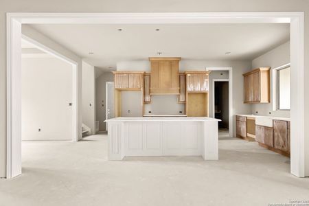 New construction Single-Family house 429 Eider Cv, Spring Branch, TX 78070 - image 4