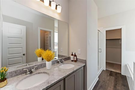 New construction Single-Family house 16875 Needlepoint Dr, Conroe, TX 77302 plan Birch - image 5