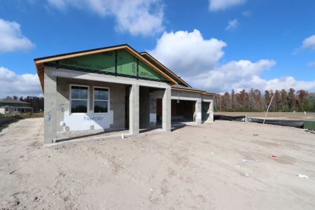 New construction Single-Family house 5867 Riverston Ave, Wesley Chapel, FL 33545 Corina  III Bonus- photo 50 50