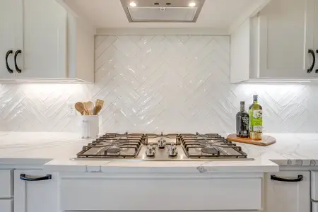 New construction Single-Family house 561 Royal Santana Run (Model Home), Weatherford, TX 76087 plan The Houston II - image 20