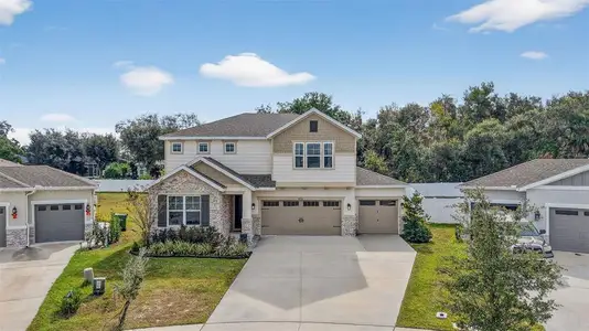 New construction Single-Family house 6024 Nightjar Ct, Okahumpka, FL 34762 - image