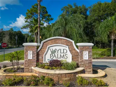 Wyld Palms by Adams Homes in Inverness - photo 0 0