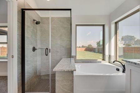 New construction Single-Family house 583 Mb S Wy, Pilot Point, TX 76258 - image 3