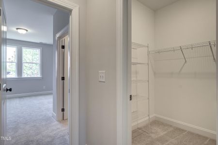 New construction Single-Family house 388 W Amber Oak Drive, Unit 54, Selma, NC 27576 Bradley - photo 50 50