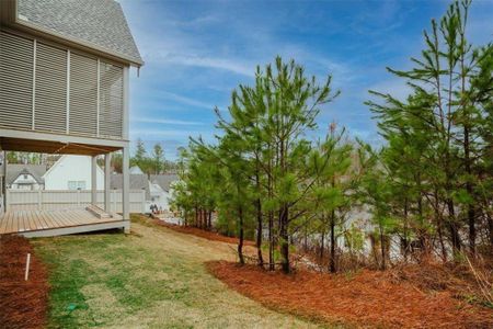 New construction Single-Family house 165 Arbor Garden Cir, Newnan, GA 30265 plan The Wisteria - image 3