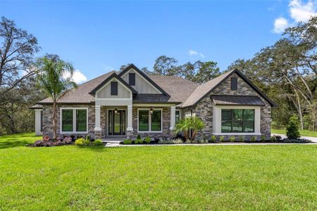 New construction Single-Family house 17022 Nokota Avenue, Hudson, FL 34667 - photo 0