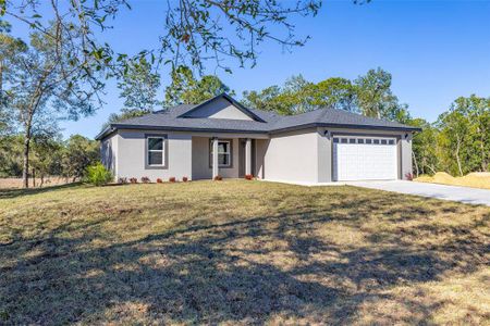 New construction Single-Family house 2327 N Monterey Rd, Avon Park, FL 33825 - image