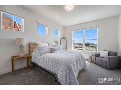 New construction Townhouse house 5001 Avon Ave, Loveland, CO 80538 - image 5