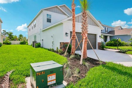 New construction Single-Family house 7012 Foxboro Wy, Nokomis, FL 34275 plan Anastasia - image