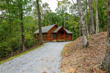 New construction Single-Family house 100 Crystal Oliver Ln, Cherry Log, GA 30522 - image