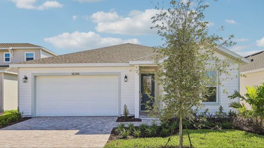 New construction Single-Family house 30314 Emerald Forest Dr, Mount Dora, FL 32757 plan Longleaf - image