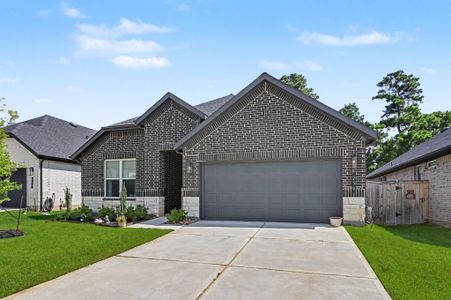 New construction Single-Family house 250 Springfield Terrace Ct, Conroe, TX 77304 - image
