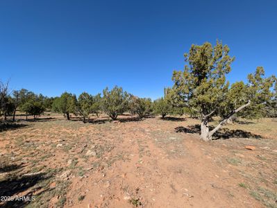 New construction Single-Family house 7267 Red Feather Ct, Happy Jack, AZ 86024 - image 10
