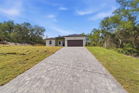 New construction Single-Family house 16596 Sw 31St Cir, Ocala, FL 34473 - image
