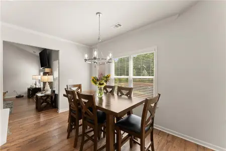 New construction Single-Family house 202 Old Lake Ln, Dawsonville, GA 30534 - image 18