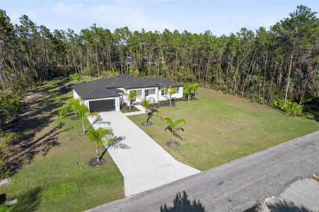 New construction Single-Family house 30807 Quince Ave, Eustis, FL 32736 - image