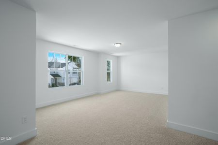 New construction Single-Family house 24 Cypress Moss Ct, Lillington, NC 27546 plan Summit - image 19