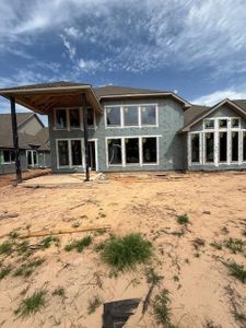 New construction Single-Family house 41734 Wendele Wy, Montgomery, TX 77316 plan Briggs - image