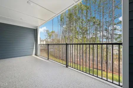 New construction Townhouse house 10905 Bayflower Wy, Raleigh, NC 27617 - image