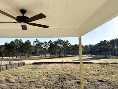 New construction Single-Family house 592 Barbour Farm Ln, Four Oaks, NC 27524 Shenandoah- photo 13 13