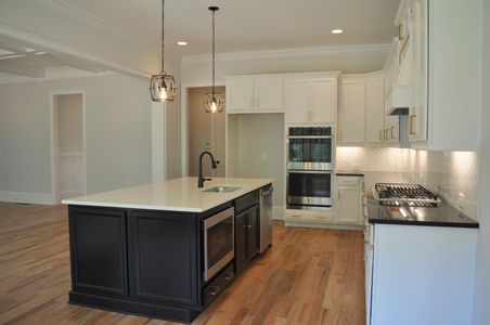 New construction Single-Family house 101 Mills Ln, Ball Ground, GA 30107 plan Dillard B - image 7