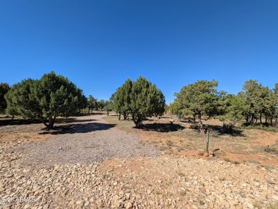 New construction Single-Family house 7267 Red Feather Ct, Happy Jack, AZ 86024 - image 14