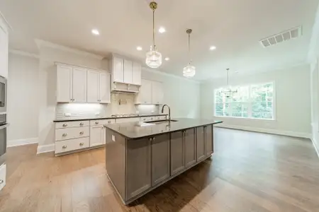 New construction Single-Family house 959 Tamary Wy, Landis, NC 28088 plan 29/30 IC Inventory - image 6