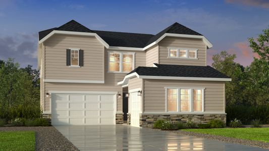 New construction Single-Family house 16975 Black Rose Pl, Parker, CO 80134 null- photo 3 3