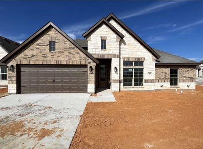 New construction Single-Family house 364 Paddle Boat Dr, Granbury, TX 76049 null- photo 0