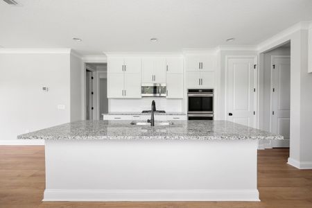 New construction Single-Family house 12193 Mariposa Ave, Jacksonville, FL 32256 plan Venice - image 12